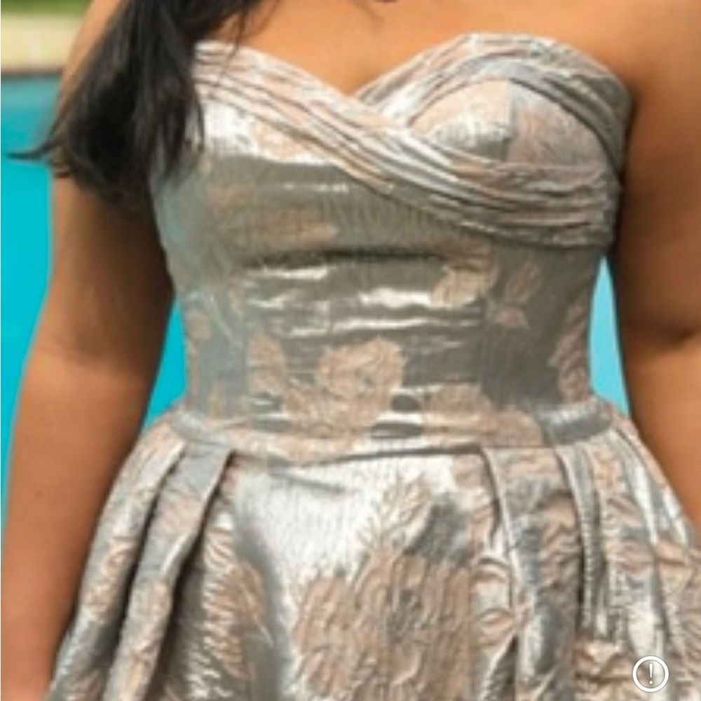 Beautiful silver/light pink Max Duggal floral embossed ball gown. - Picture 6 of 6